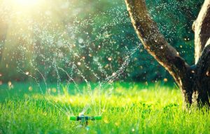 How To Install A Sprinkler System