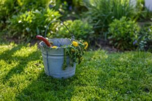 Understand-What-Youre-Dealing-With-Landscaping-Blog