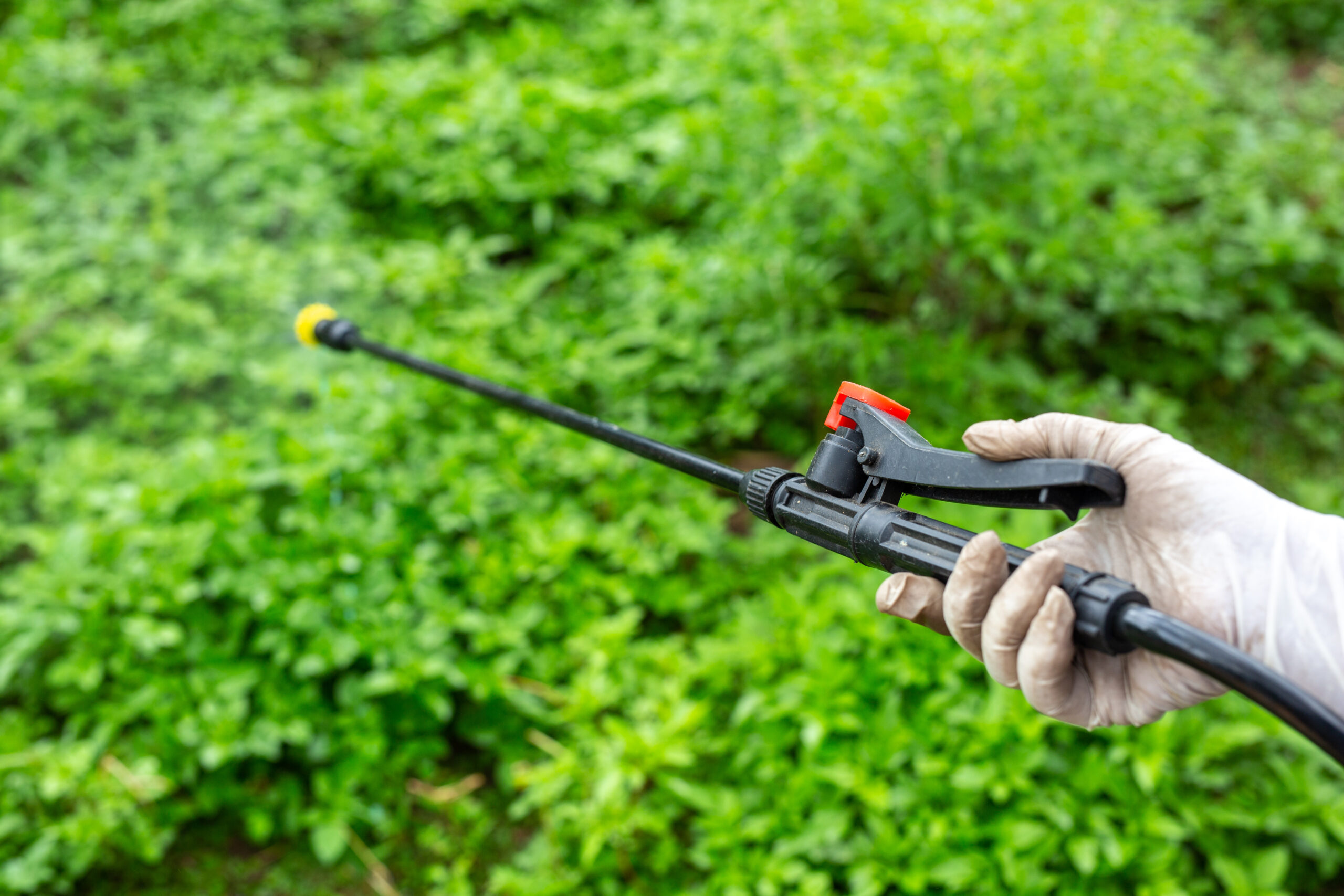 4. Use specialized weed killer