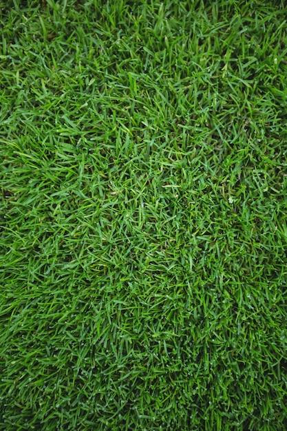 artificial-turf-&-grass