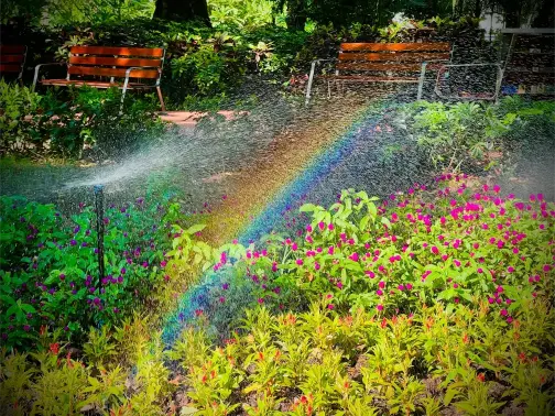 How To Install A Sprinkler System