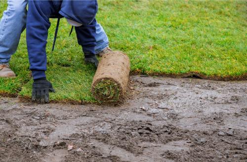 Landscaper’s Tips For Laying Sod Like a Pro Landscaping Blog