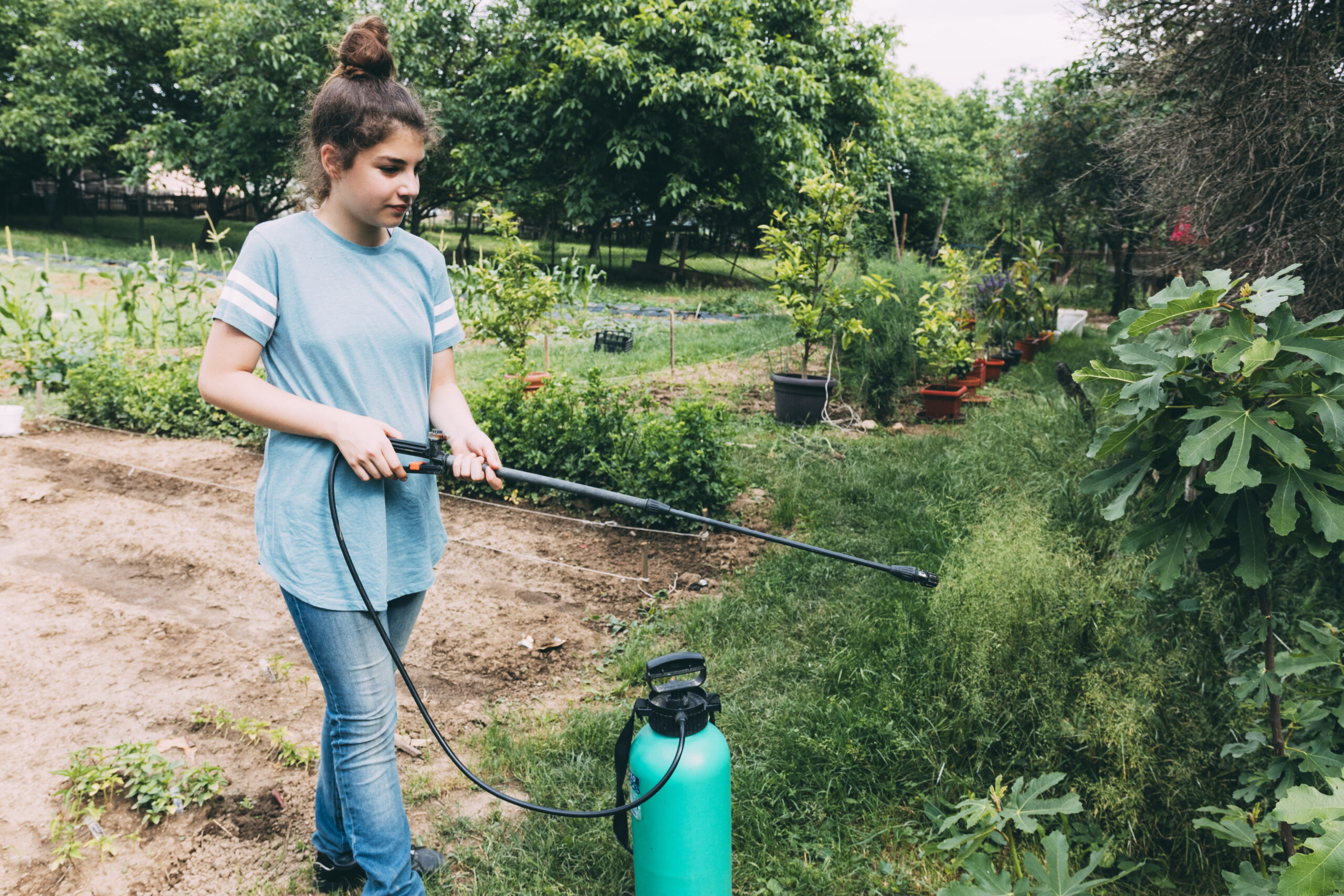 7. Use a weed torch