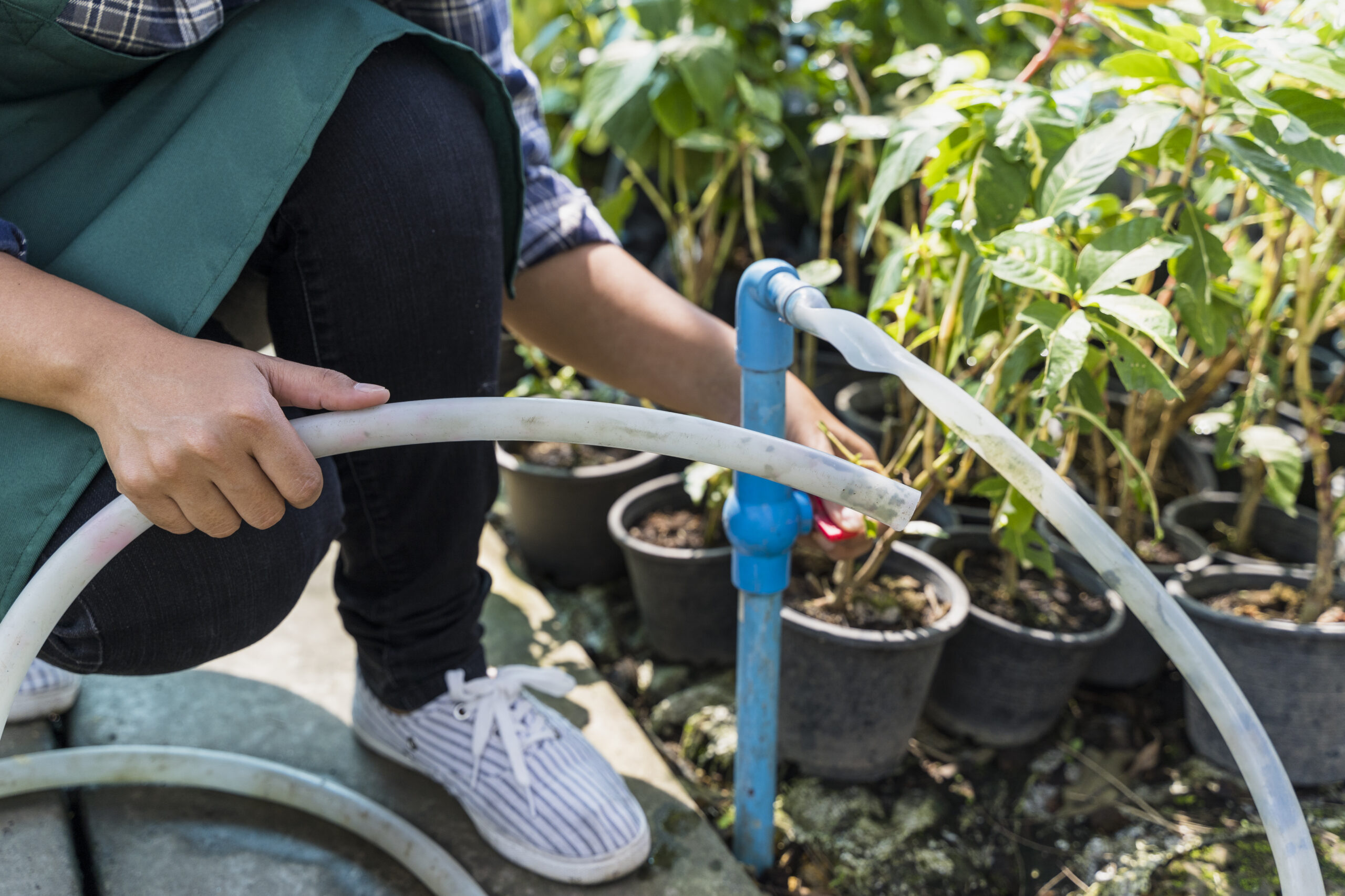 Step 6: Install the Backflow Preventer