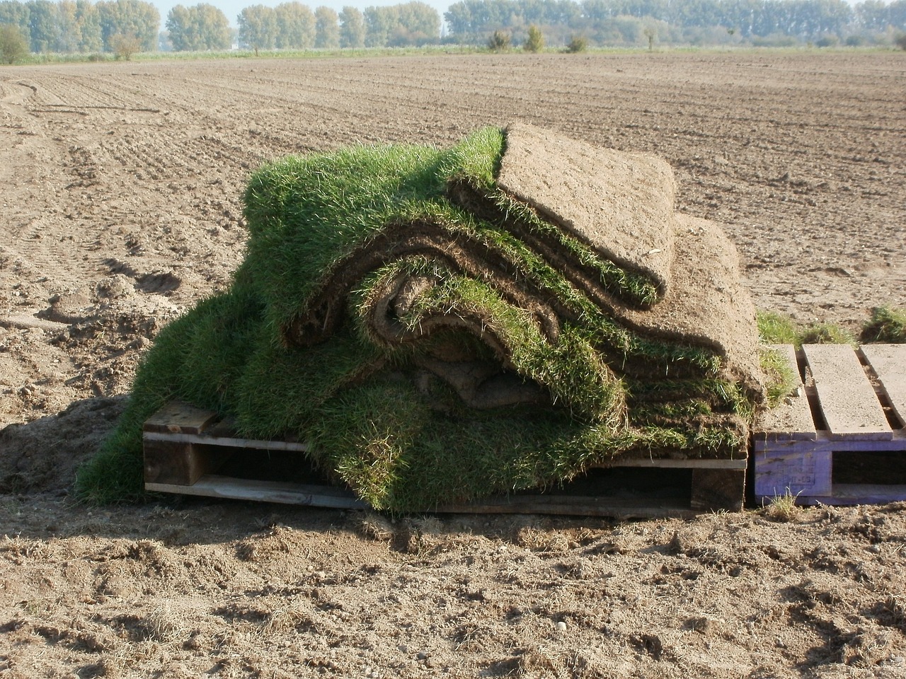 How To Install the Sod