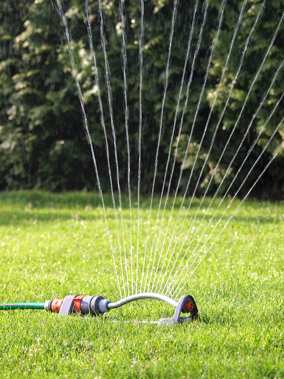 Step-By-Step Guide On How To Install A Sprinkler System