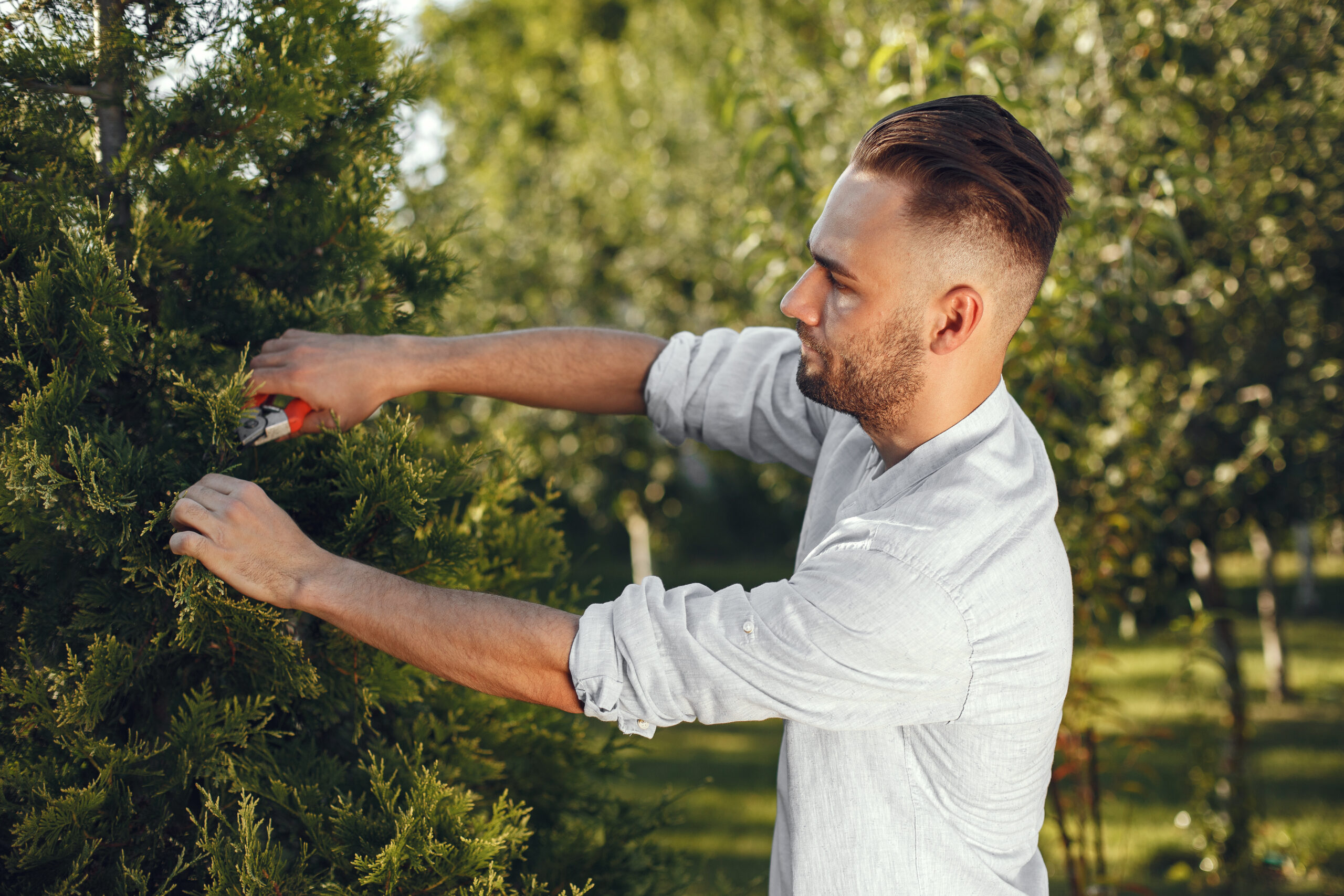 When to do Trimming?