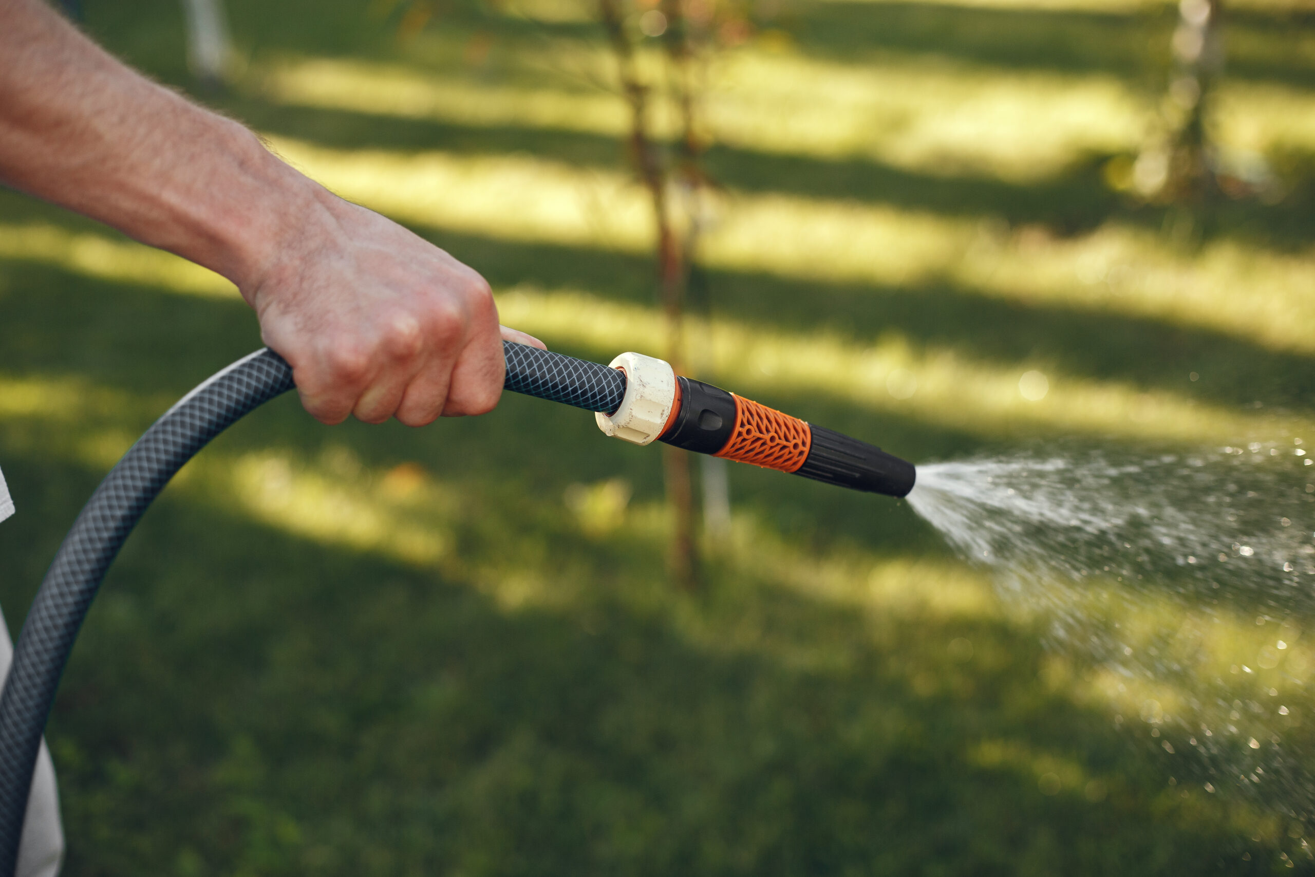 How Can You Water and Maintain Your Sod?