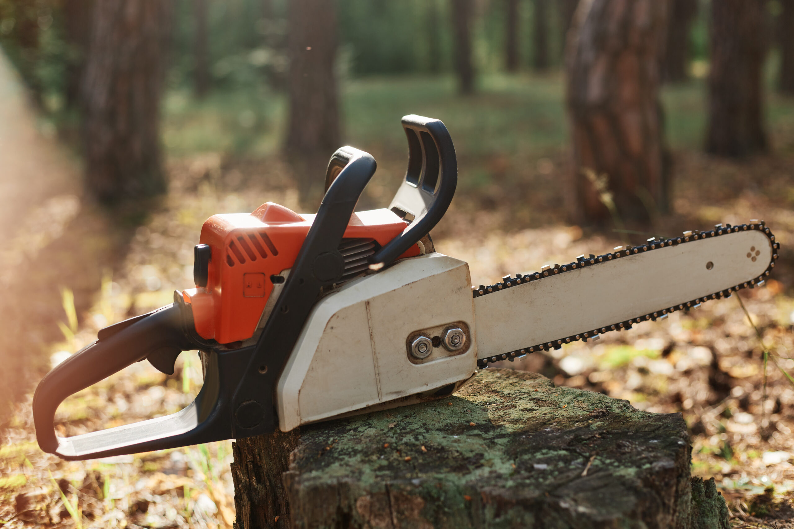 Potential Dangers of Removing a Tree stump with Chainsaw