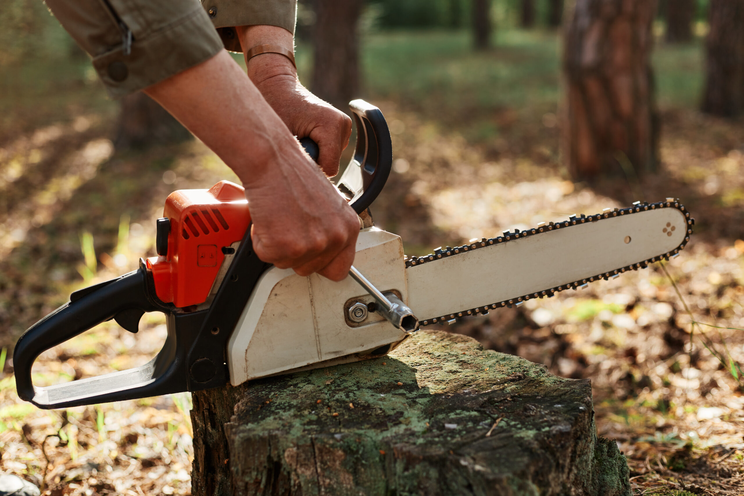 What are the Best Conditions for Stump Removal with a Chainsaw?