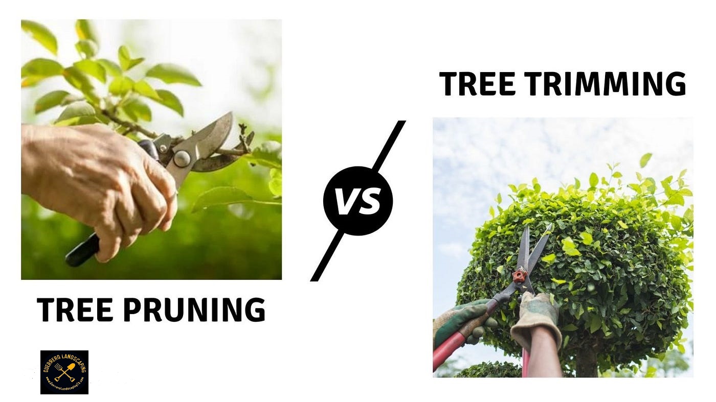 EASY TIPS FOR EFFECTIVE TREE TRIMMING AND PRUNING