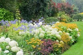 Low-Maintenance Landscape ideas with Perennials