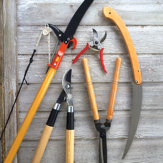 Must have Pruning-tools