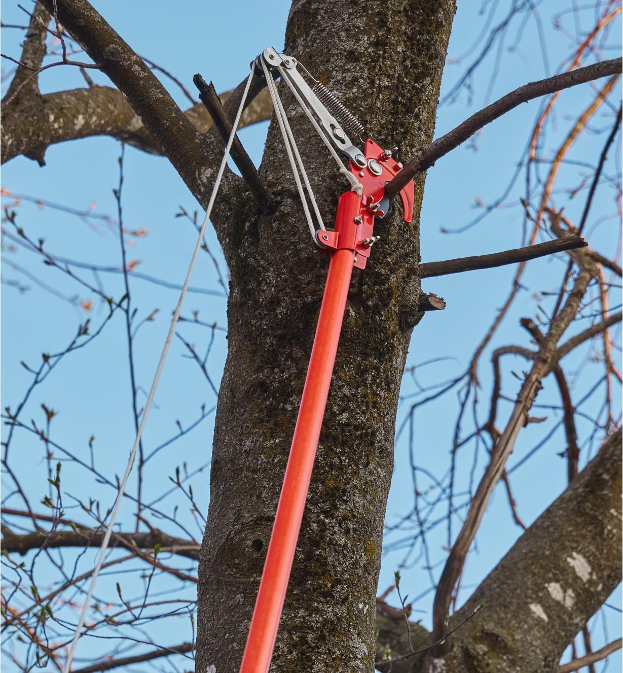 Pole Pruner for pruning