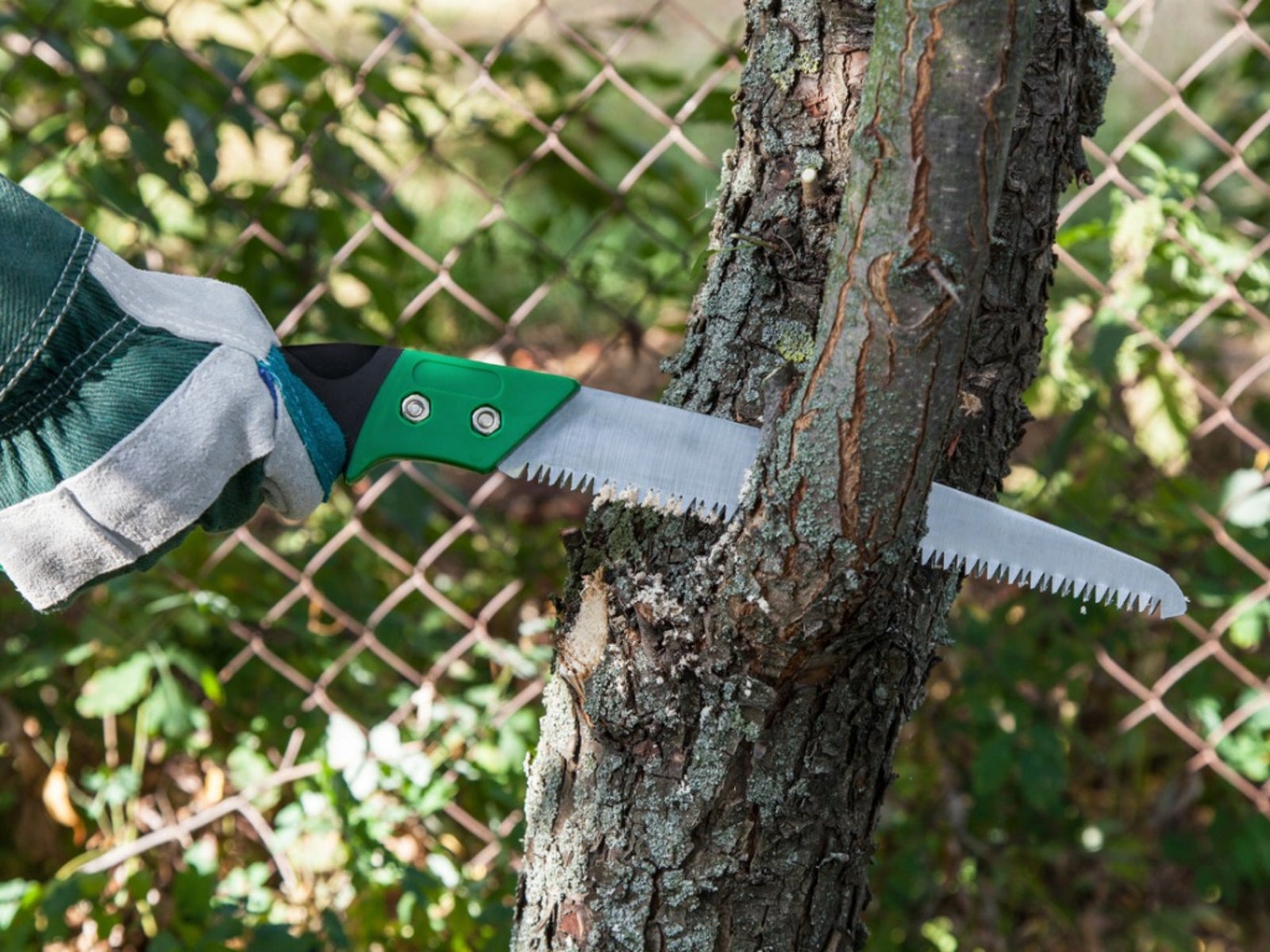 Pruning Saws