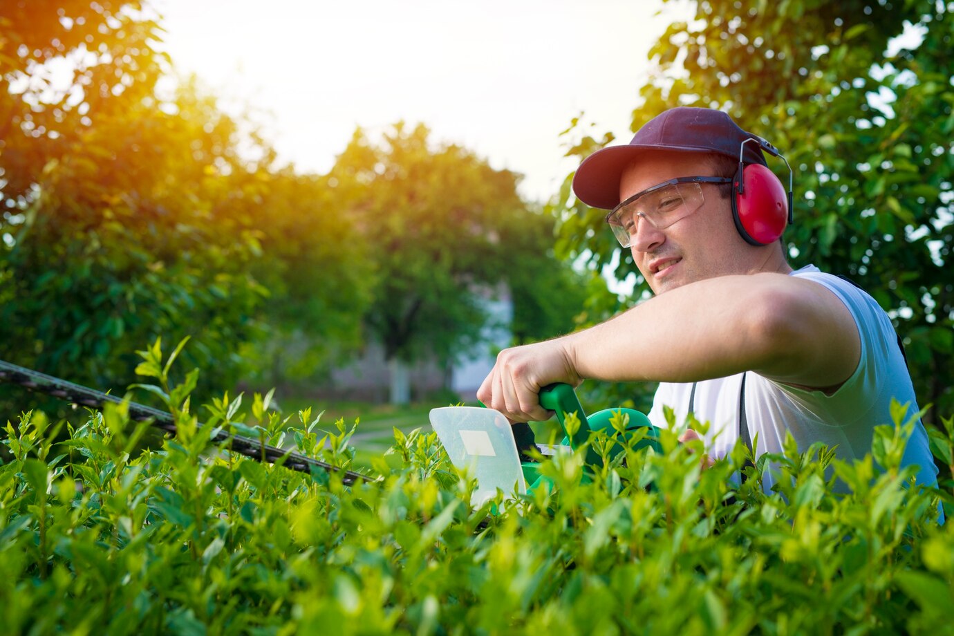 Top Tips for Trimming and Pruning