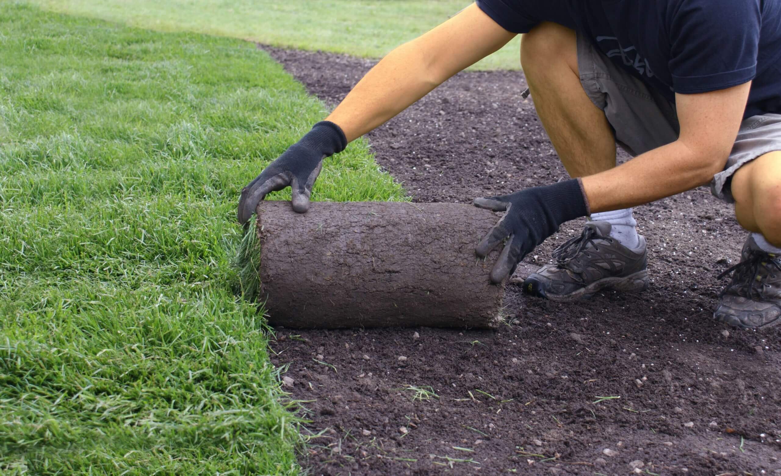 11 Sod Installation Mistakes You Need to Avoid