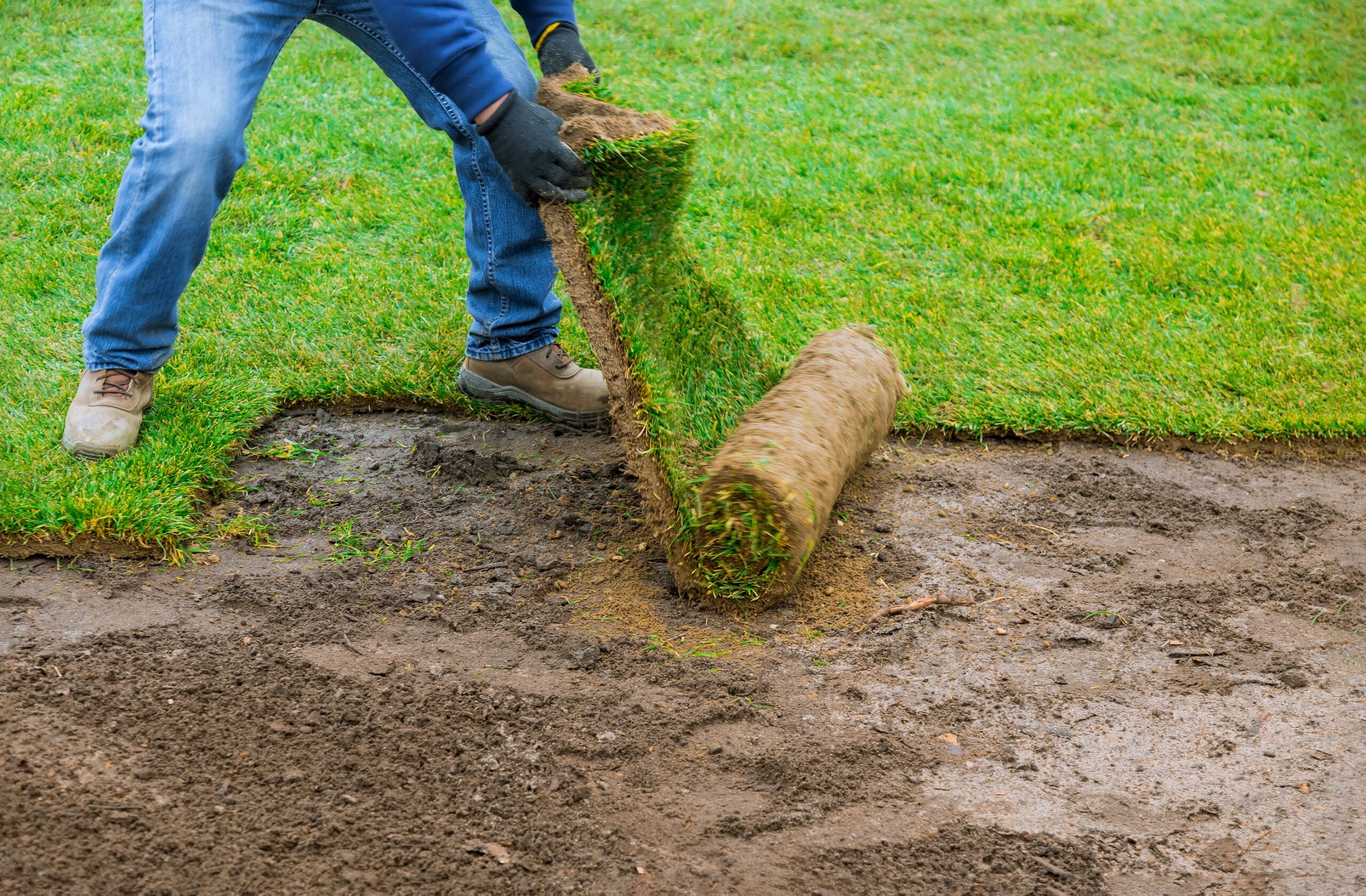 How Long Do You Have To Stay Off New Sod?