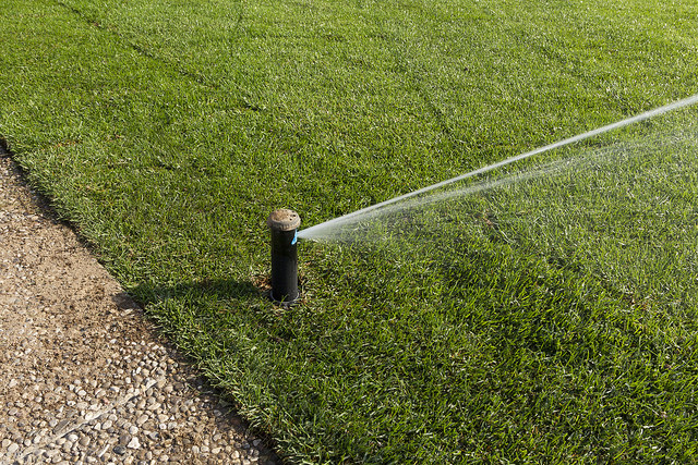 How Long To Water New Sod?