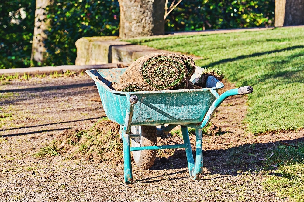 How to Remove Old Sod and Lay a New One