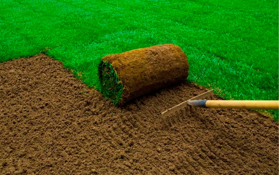 Sod Installation Watering Tips