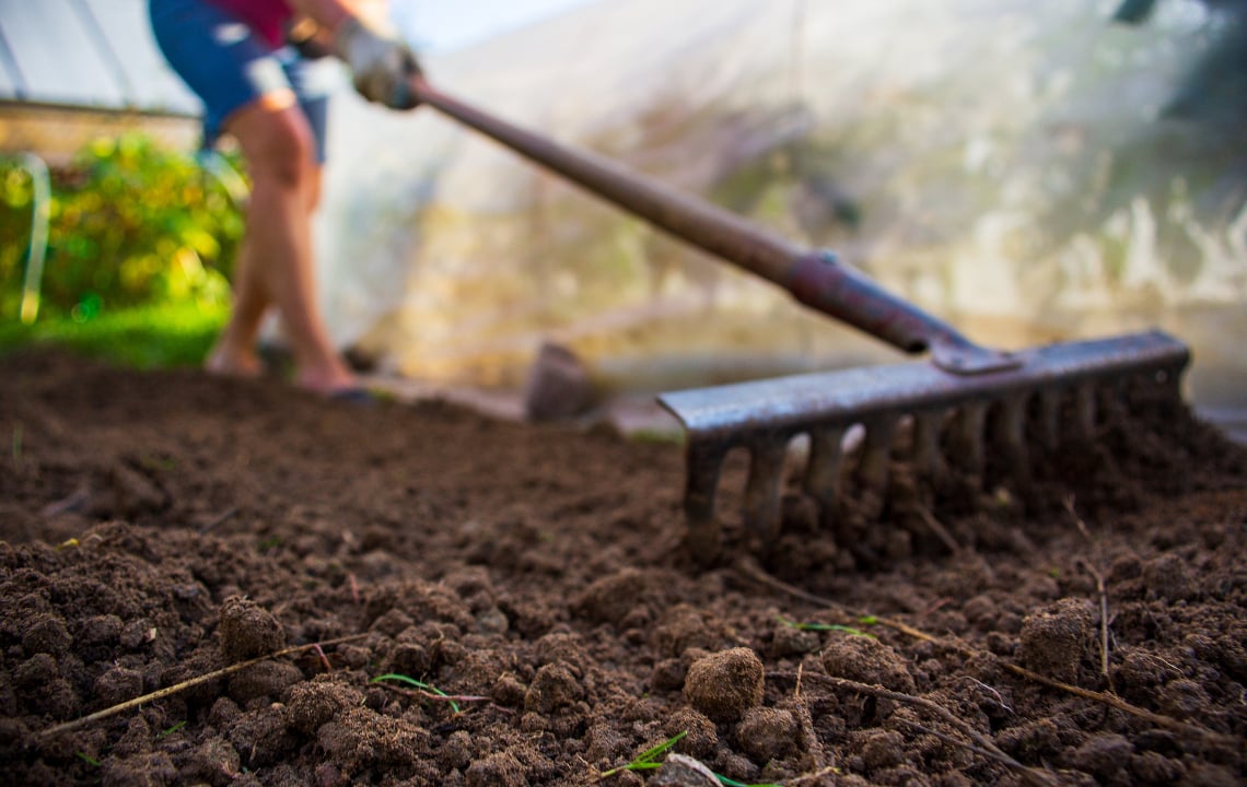 Soil Preparation and Levelling