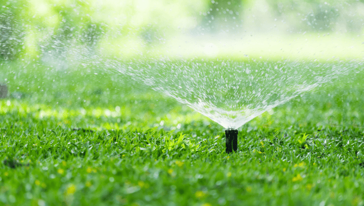 watering Sod after installation