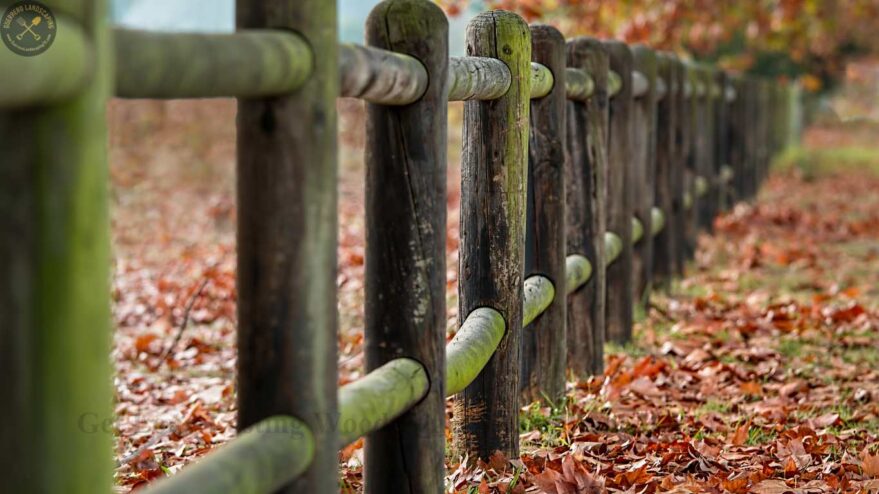 Get Long Lasting Wood Fence Posts Right Here in Dallas