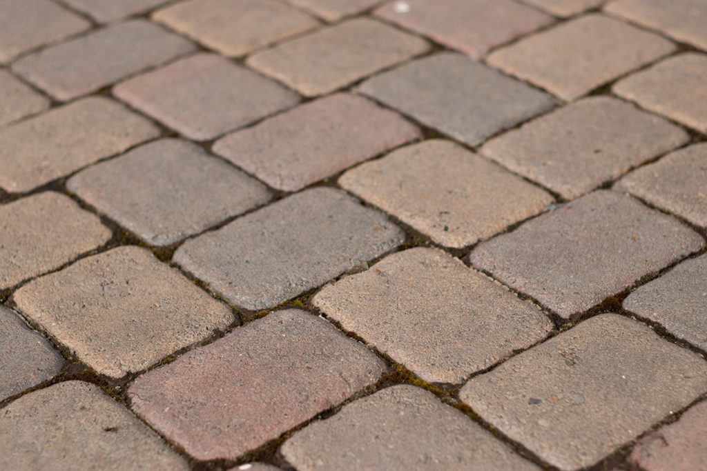 Leave the Paver Surface to Dry