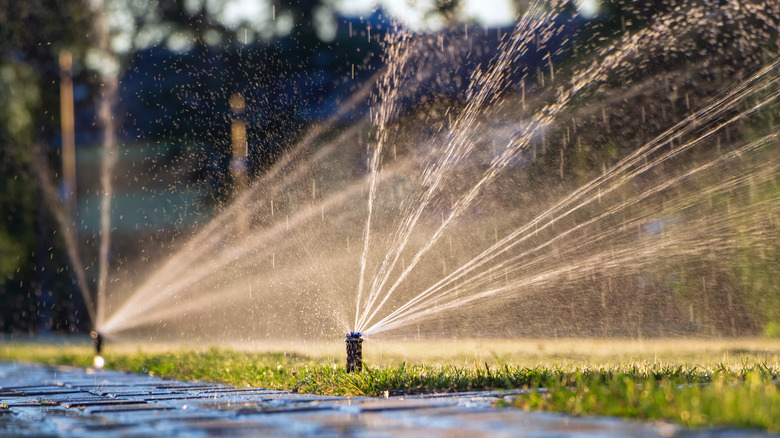 Prepare for Your Sprinkler System