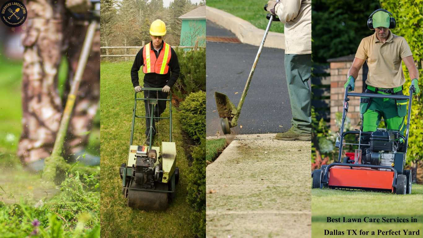 Best Lawn Care Services in Dallas TX for a Perfect Yard